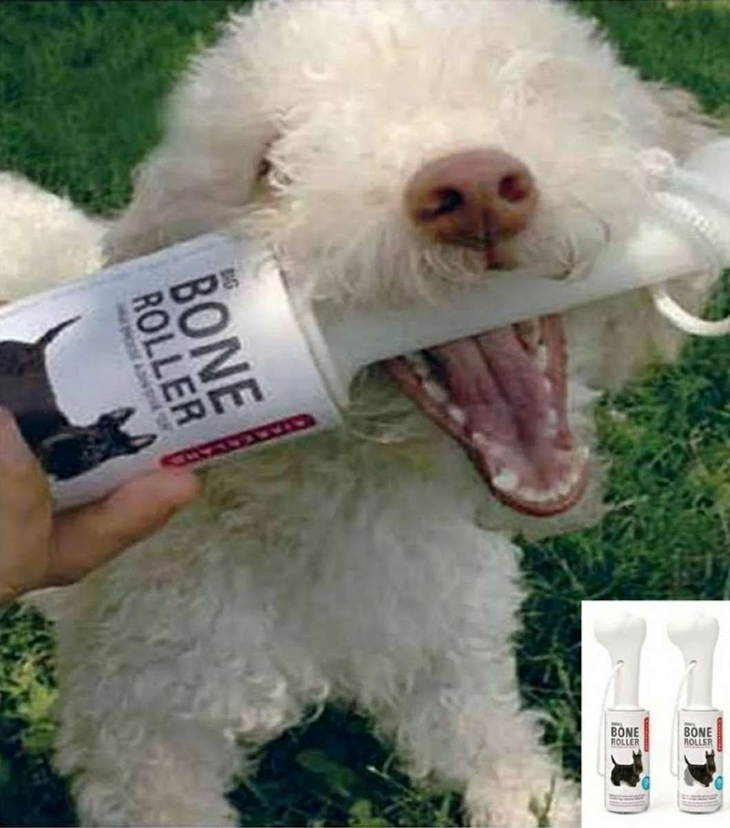 Rullo adesivo Leva Pelucchi osso di cane 2 pz Bone Roller