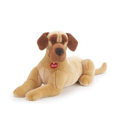 Cane Alano Adalberto (22723)