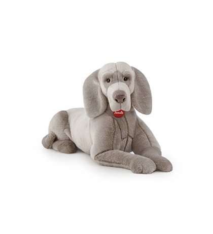 Cane Wairmaraner Wolfgang (22018)