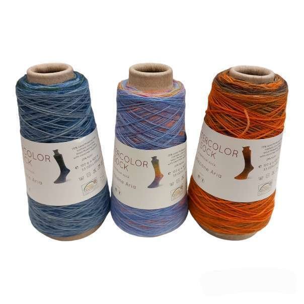 Lana WATER COLOR SOCK Laines du Nord - immagine 2