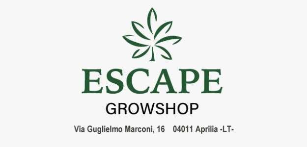 Escape
