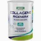 COLLAGENE IDROLIZZATO RIGENERA 330gr gusto neutro