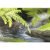 Fotomurale da parete con paesaggio 184 x H 127 cm ALONG THE RIVER 1-611 KOMAR