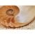 riservato sig. John Rintoul Fotomurale da parete con paesaggio 184 x H 127 cm NAUTILUS 1-601 KOMAR