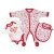 Set 3 pz Tutina Neonata e Body Neonata + Bavaglino