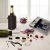 Set Da Vino e Spumante per sommelier 10 pezzi Pulltex
