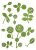 Sticker murale decalcomania adesivo da parete Fiori Verdi Score 8pz Crearreda