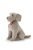 Cane Waimaraner Wolfgang (22017)